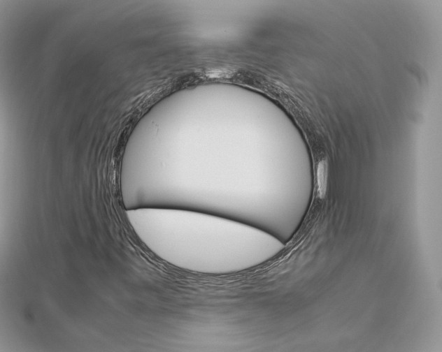 X0000113071443200908280959