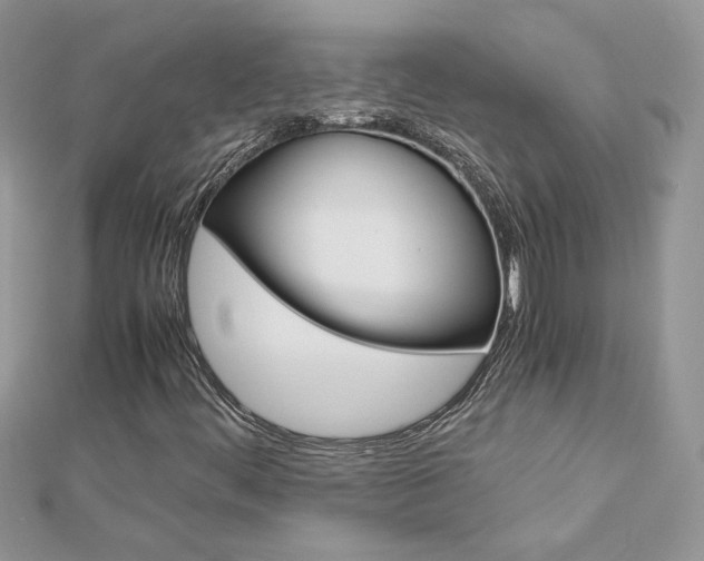 X0000113071444200908280959