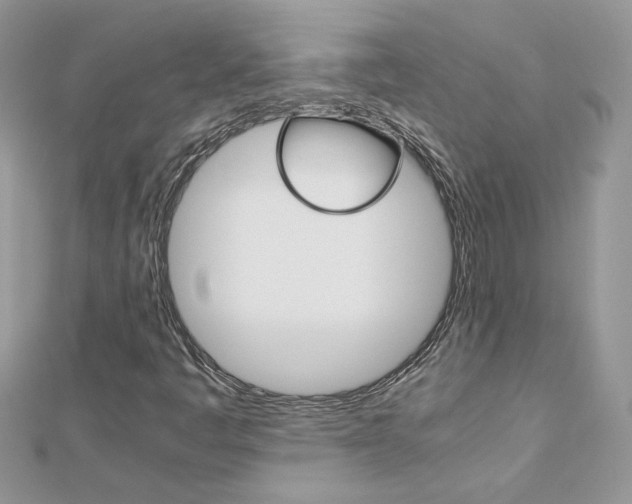 X0000113071445200908280959