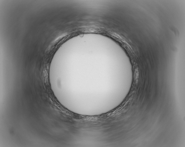 X0000113071446200908280959