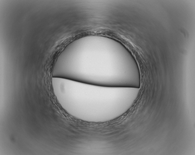 X0000113071447200908280959