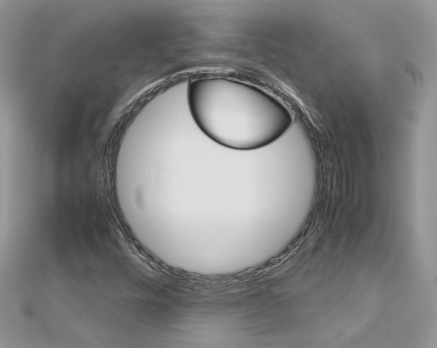 X0000113071448200908280959