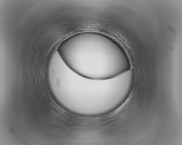 X0000113071449200908280959
