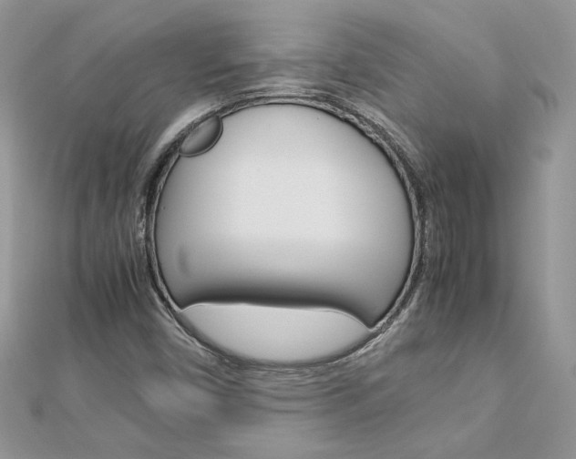 X0000113071450200908280959