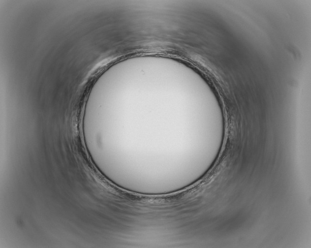 X0000113071451200908280959
