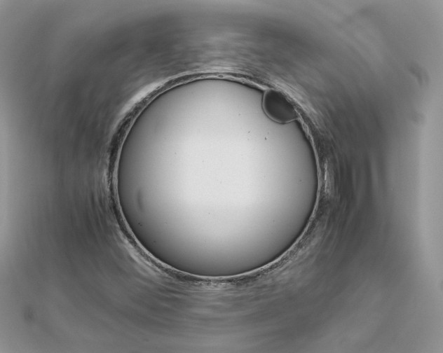 X0000113071452200908280959