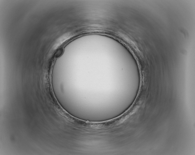 X0000113071453200908280959