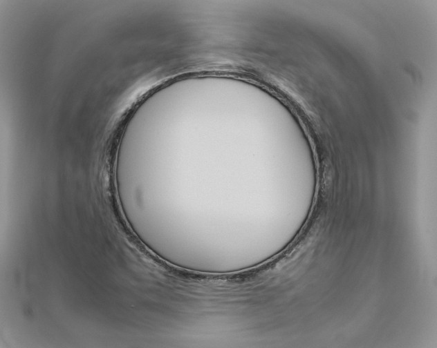 X0000113071455200908280959