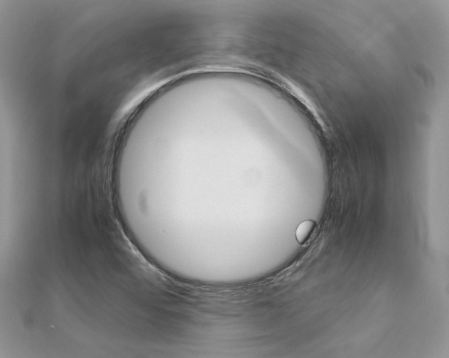 X0000113071456200908280959