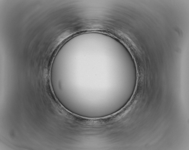 X0000113071457200908280959