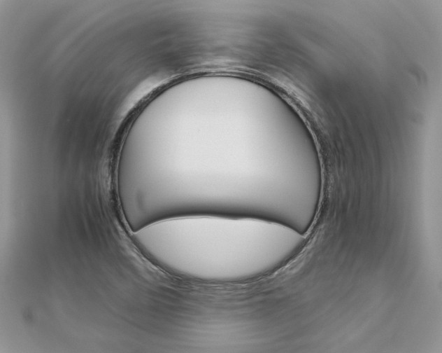 X0000113071458200908280959