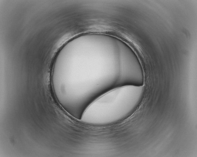 X0000113071459200908280959