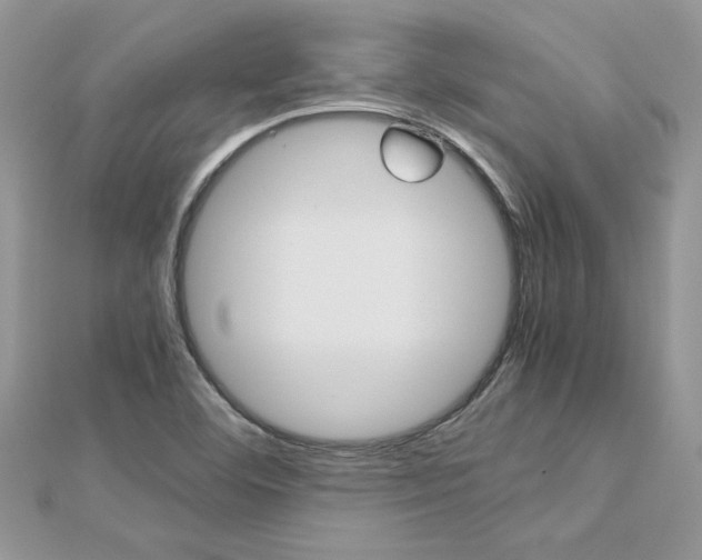 X0000113071460200908280959