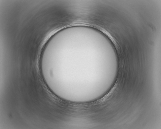 X0000113071461200908280959