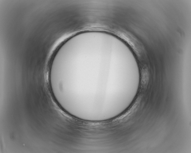 X0000113071462200908280959