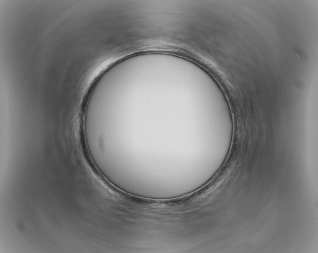 X0000113071463200908280959