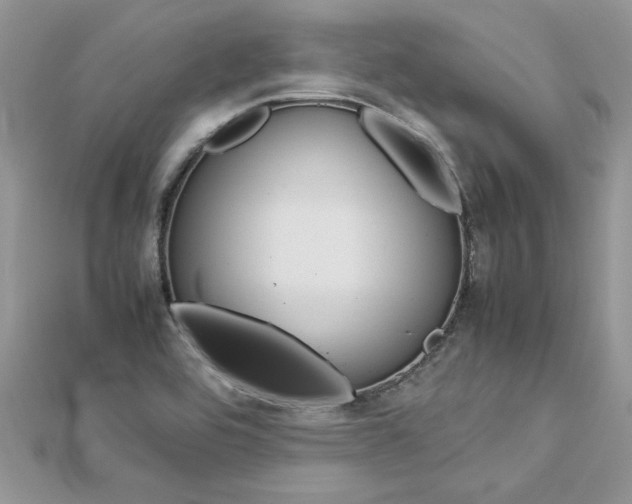 X0000113071464200908280959