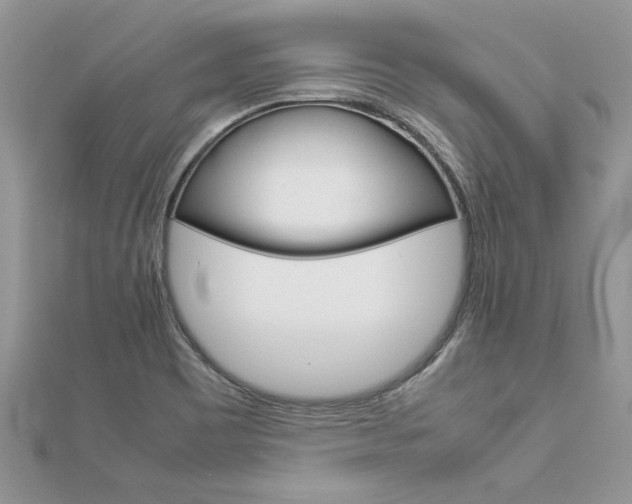 X0000113071465200908280959