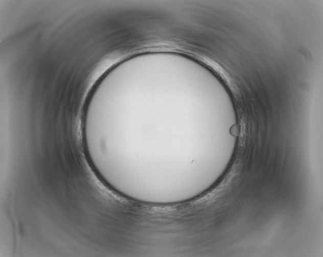 X0000113071466200908280959