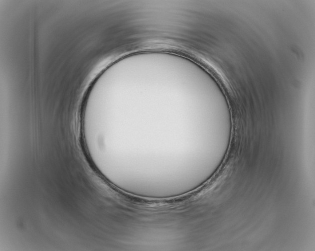 X0000113071467200908280959