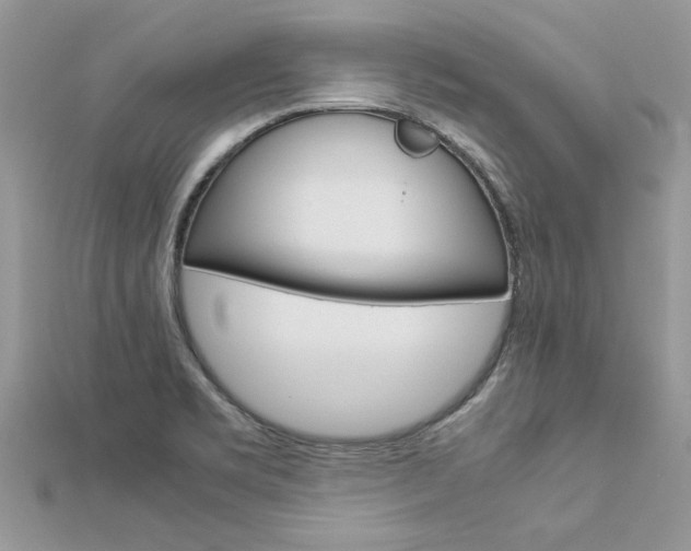 X0000113071469200908280959