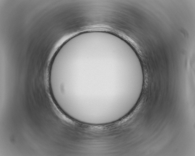 X0000113071470200908280959