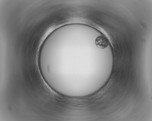 X0000113071472200908280959
