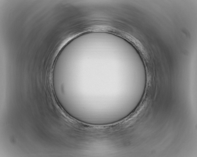 X0000113071473200908280959