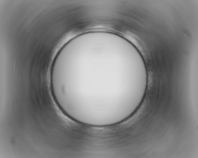 X0000113071474200908280959