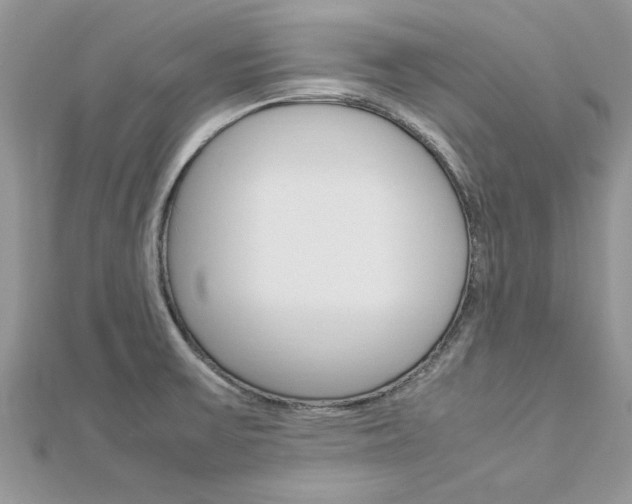 X0000113071475200908280959