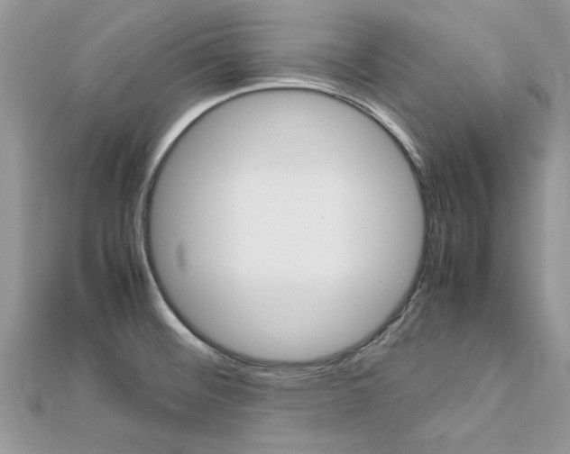 X0000113071476200908280959