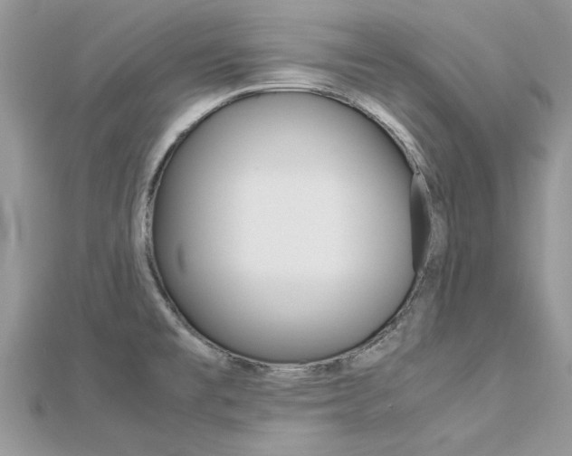 X0000113071477200908280959
