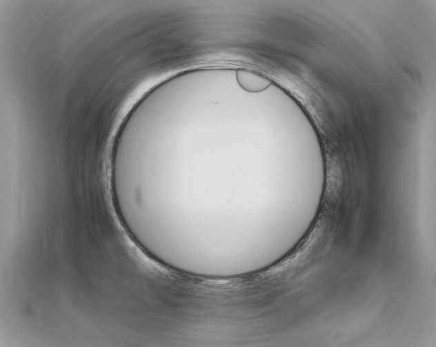 X0000113071478200908280959