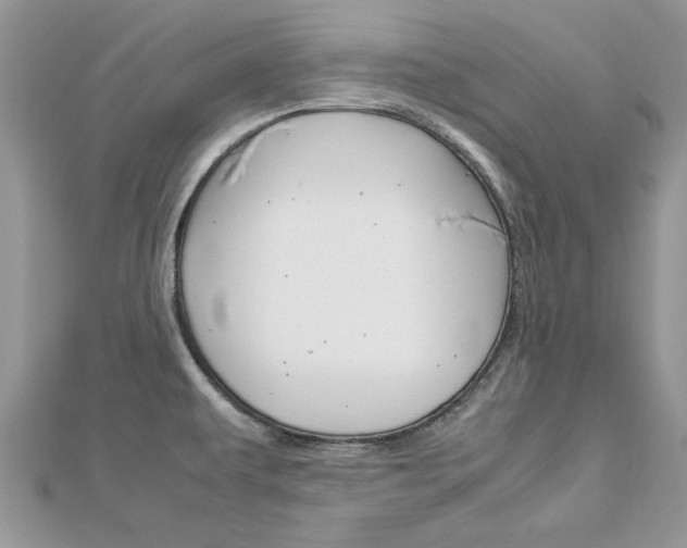 X0000113071479200908280959