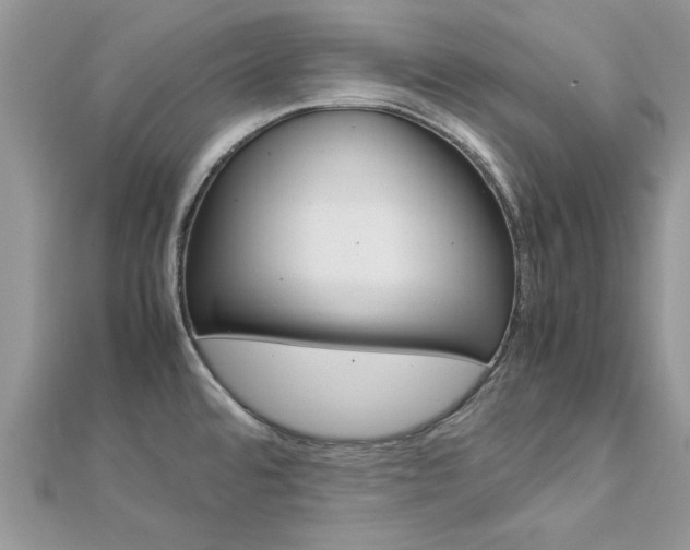 X0000113071480200908280959