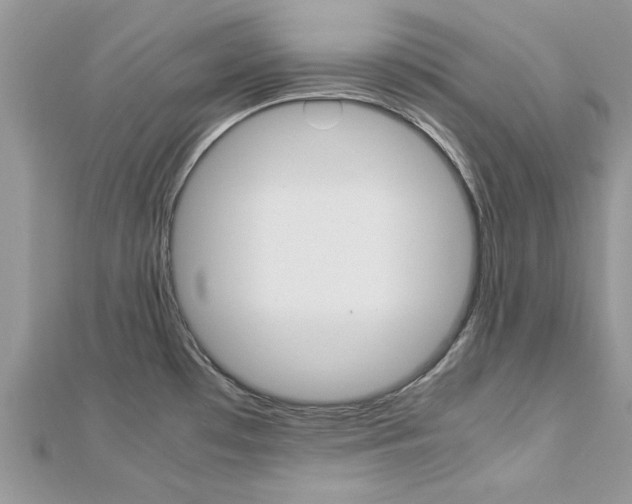 X0000113071481200908280959