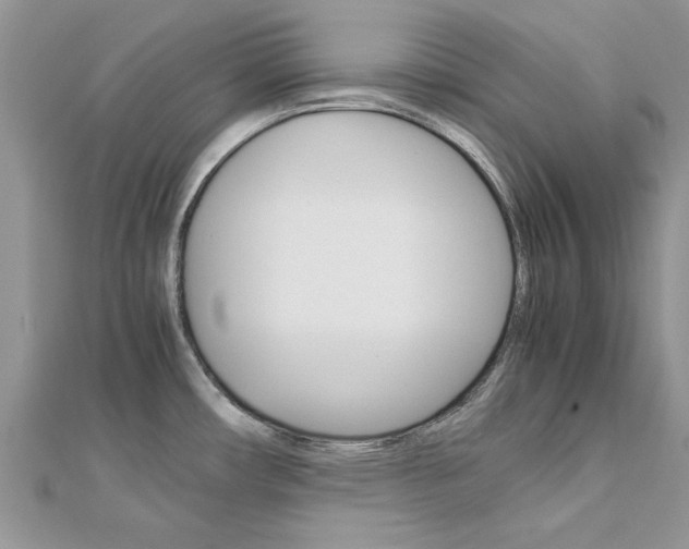 X0000113071482200908280959