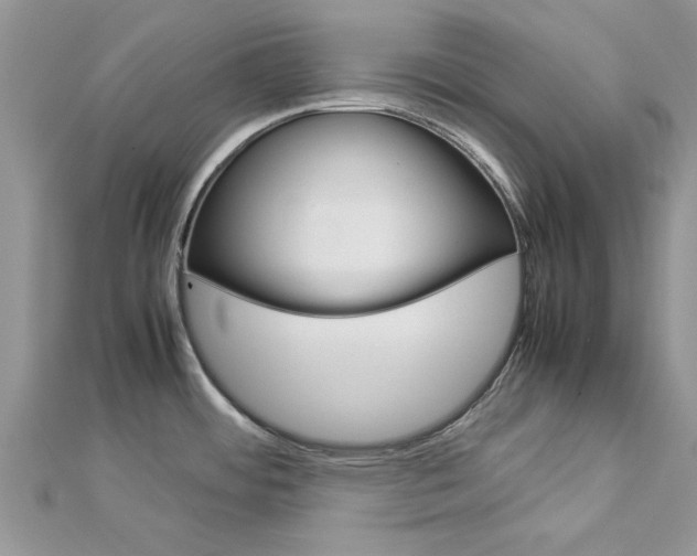 X0000113071484200908280959