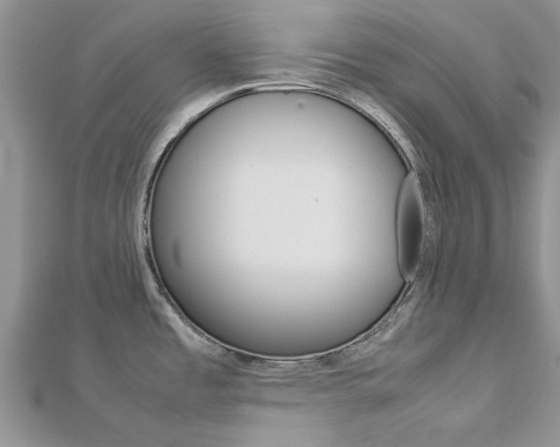 X0000113071485200908280959