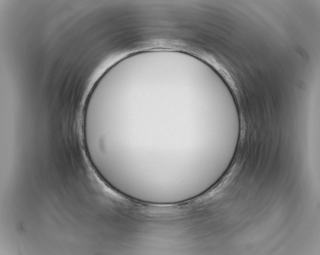 X0000113071486200908280959