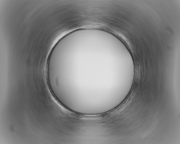 X0000113071487200908280959
