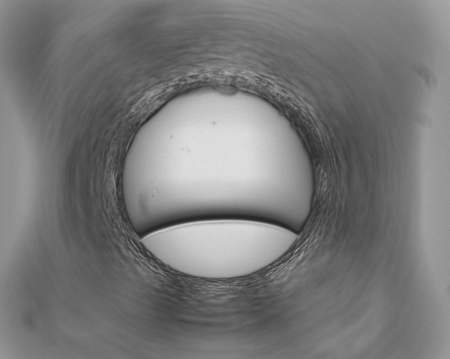 X0000113071489200908280958