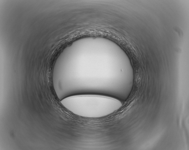 X0000113071490200908280958