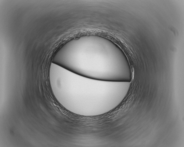 X0000113071492200908280958