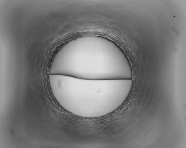X0000113071493200908280958