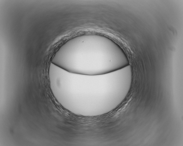X0000113071494200908280958