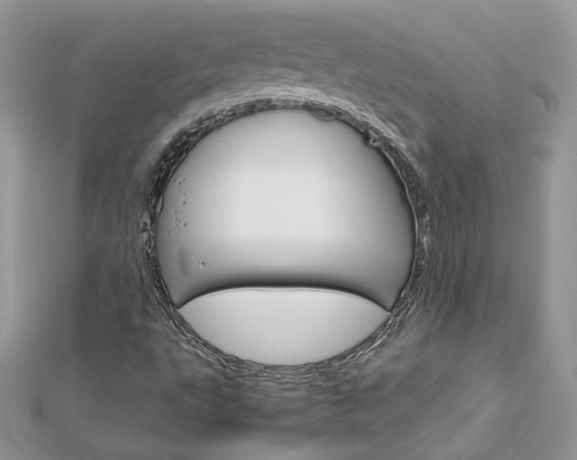 X0000113071495200908280958