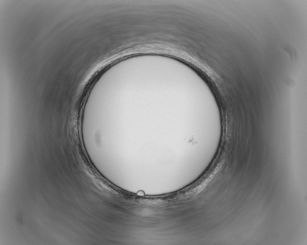 X0000113071498200908280958