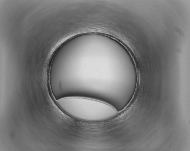 X0000113071500200908280958