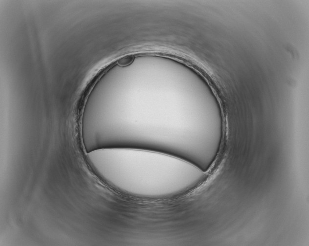 X0000113071501200908280958
